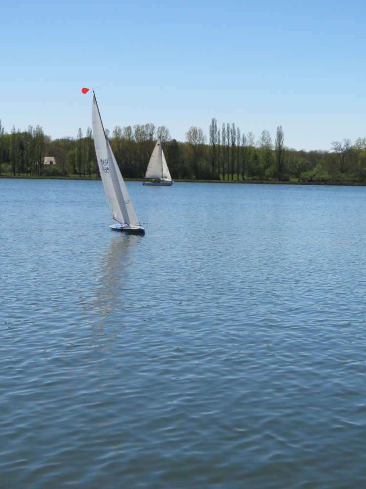 DPP_001120