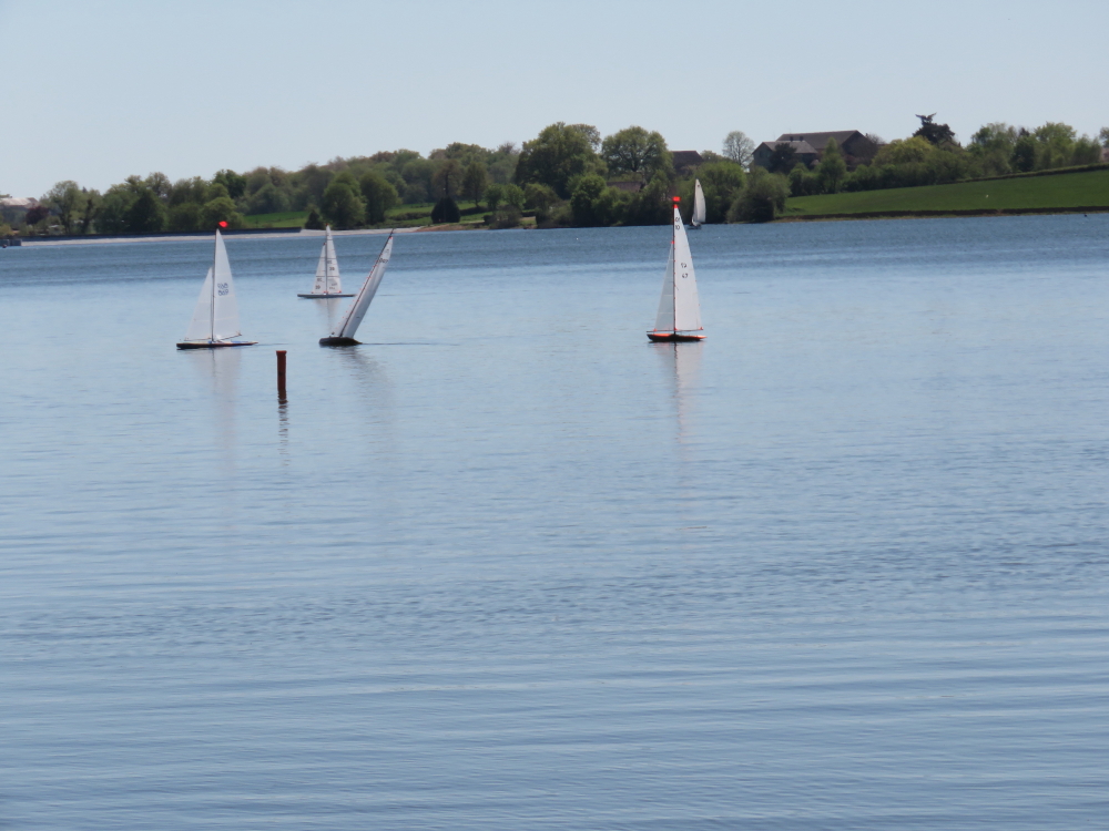 DPP_001147