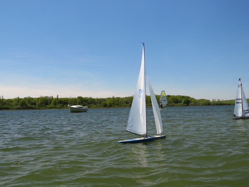 DPP_001175